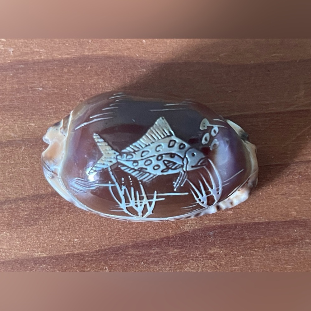 Vintage Carved Etched Brown Cypraea Cowrie Shell Fish 1.75”